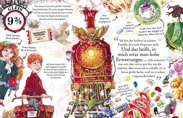 Potter Guide Ron Weasley Hardcover Illustrationen
