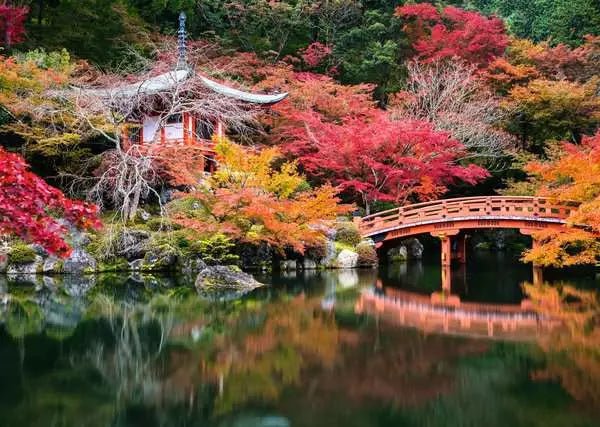 Puzzle 1000 Teile - Daigo - ji, Kyoto, Japan - Ravensburger