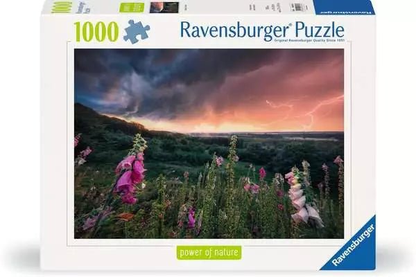 Puzzle 1000 Teile - Ein Sturm zieht auf - Ravensburger