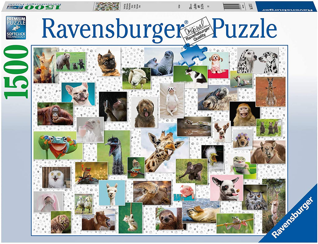 Puzzle 1500 Teile - Funny Animals Collage - Ravensburger