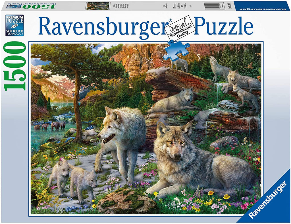 Puzzle 1500 Teile - Wolfsrudel im Frühlingserwachen - Ravensburger