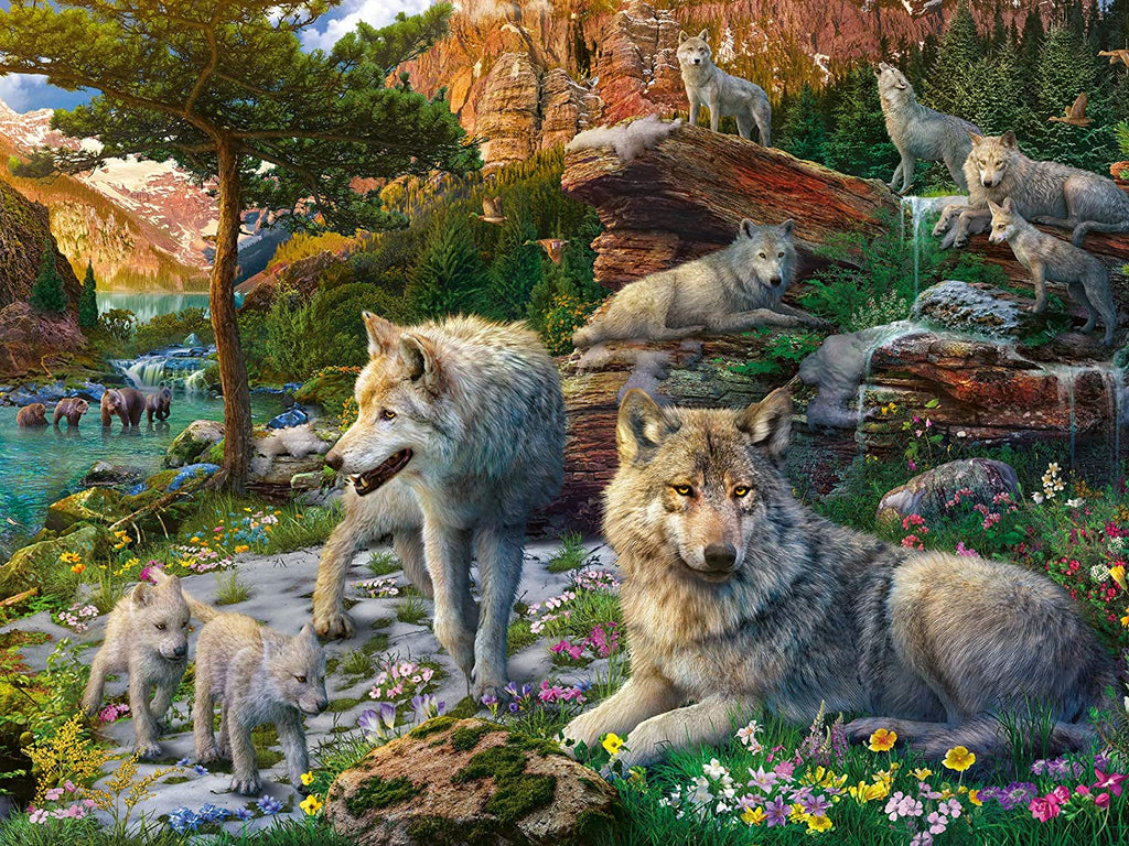 Puzzle 1500 Teile - Wolfsrudel im Frühlingserwachen - Ravensburger