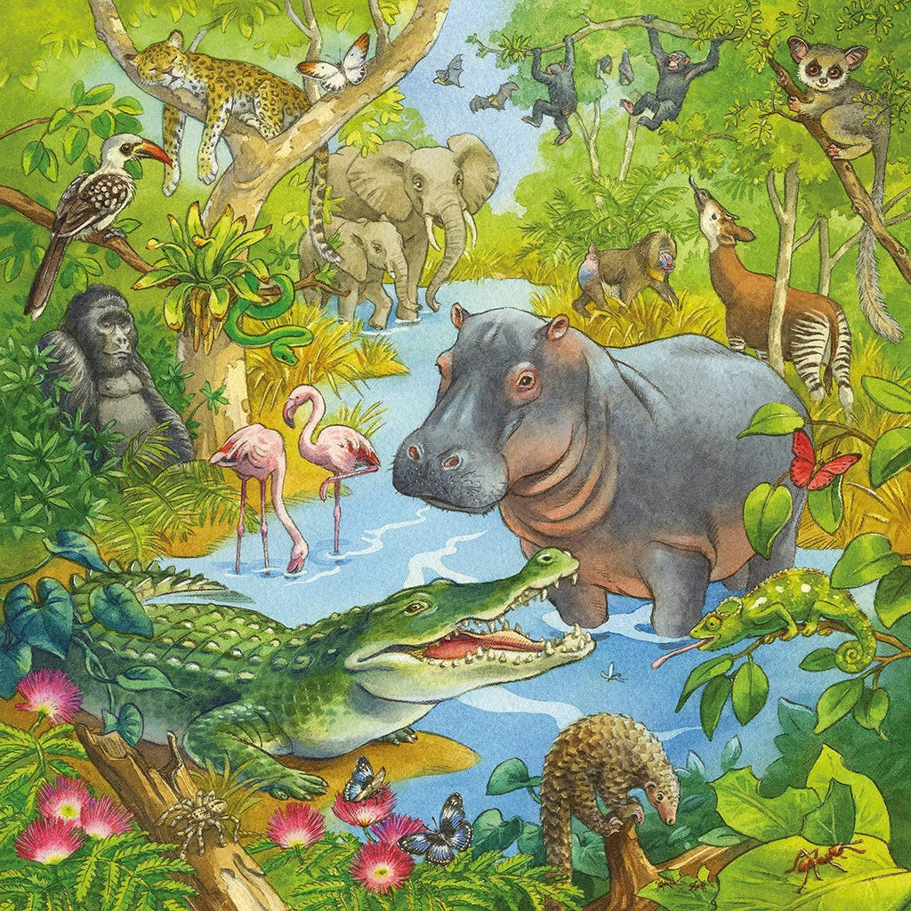 Puzzle 3x49 - Im Urwald - Ravensburger