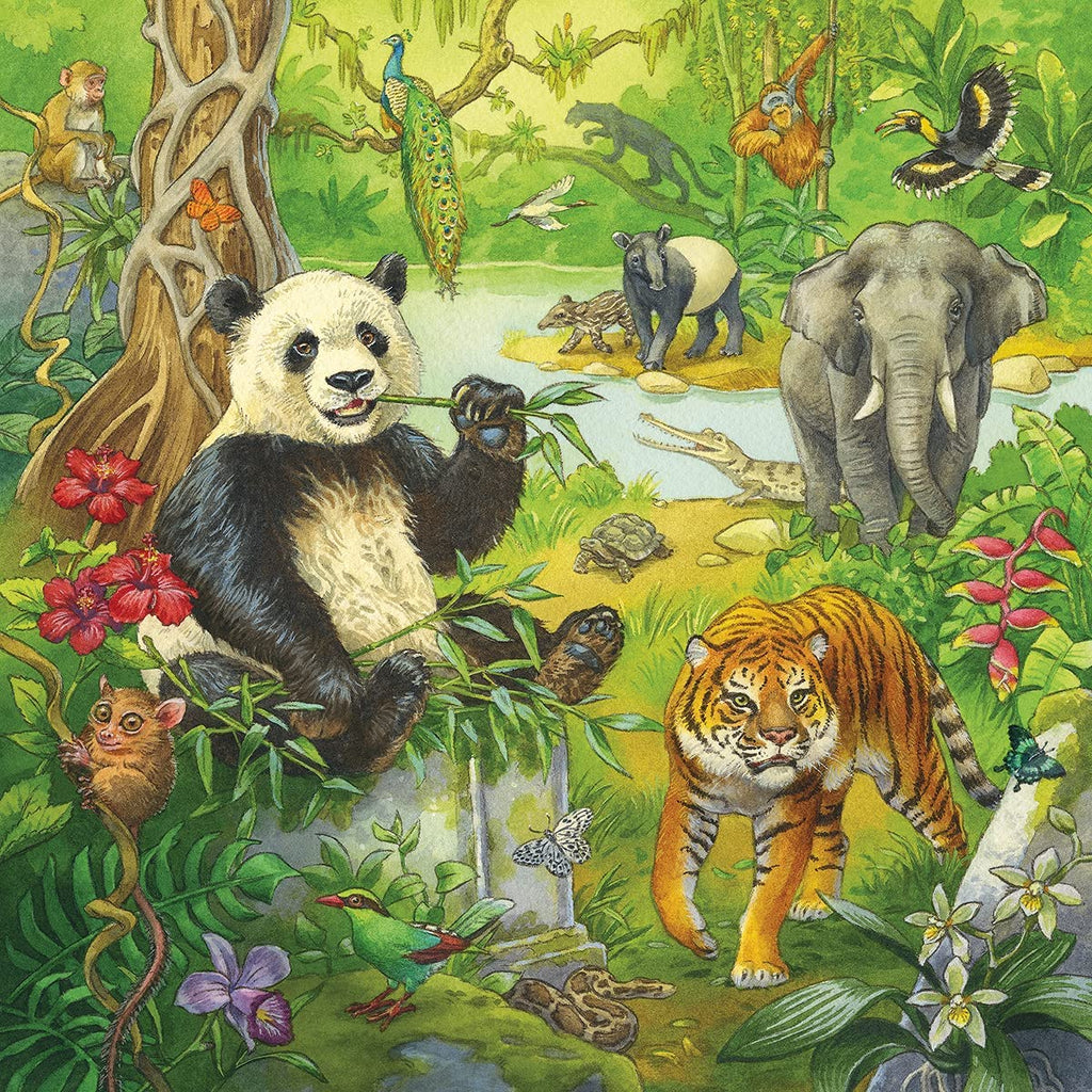 Puzzle 3x49 - Im Urwald - Ravensburger