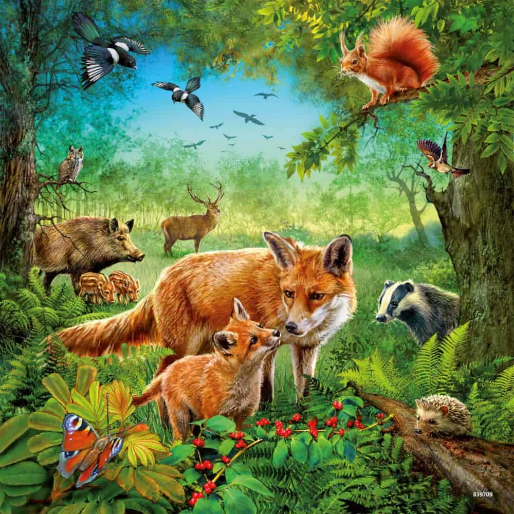 Puzzle 3x49 Teile - Tiere der Erde - Ravensburger