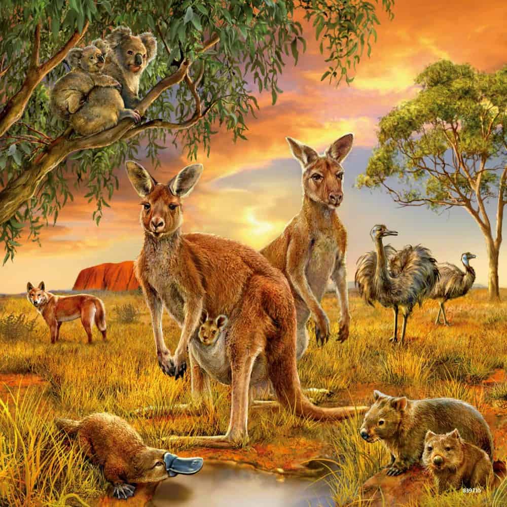 Puzzle 3x49 Teile - Tiere der Erde - Ravensburger