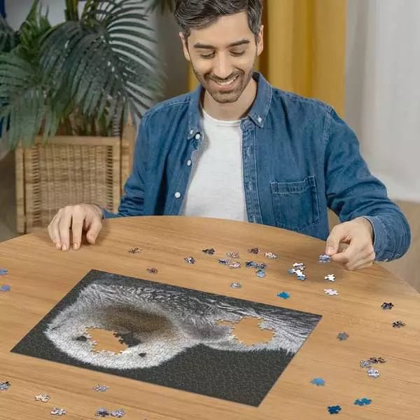 Ravensburger Puzzle Otter 500 Teile ab 10 Jahren
