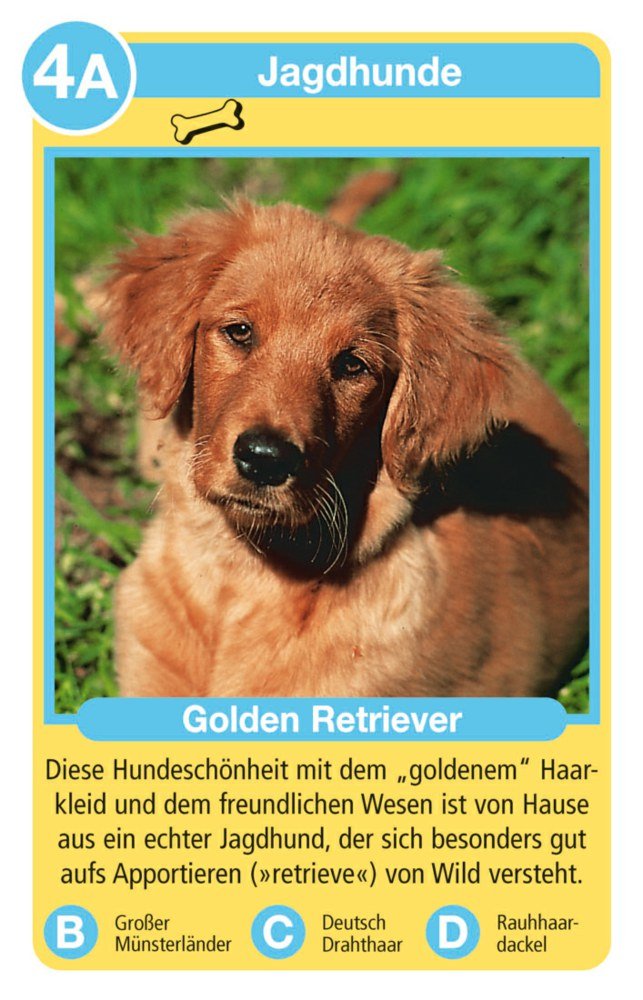 Quartett - Hunde - Ravensburger