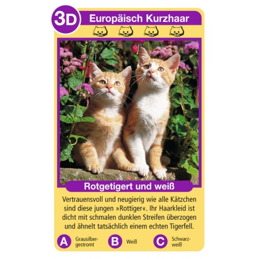 Quartett - Katzen - Ravensburger