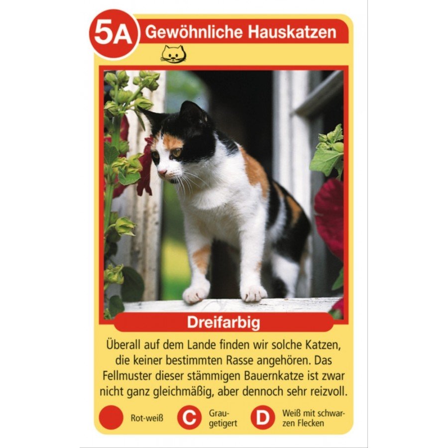 Quartett - Katzen - Ravensburger