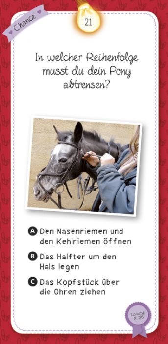 Quizspiel - Das Quiz der Pferde und Ponys - Moses