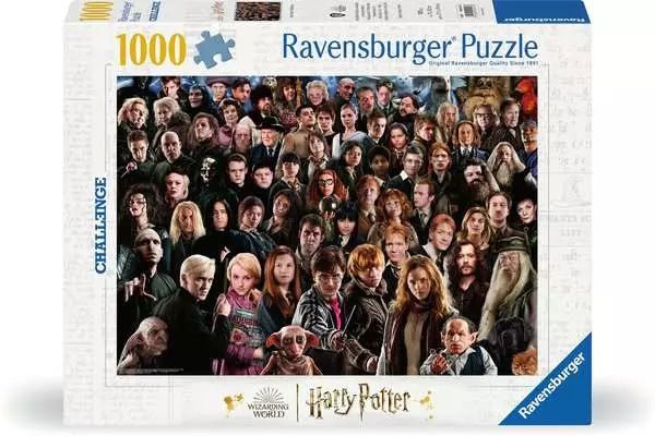 Puzzle Harry Potter Challenge – alle Charaktere aus Hogwarts
