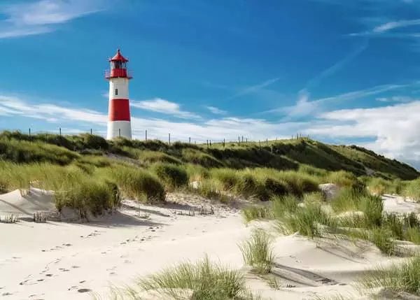 Leuchtturm auf Sylt mit Dünen und blauem Himmel – Ravensburger Puzzle
