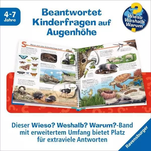 Lernbuch Tiere mit Alphabet Ravensburger Wieso Weshalb Warum
