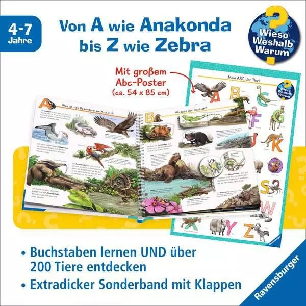 Ravensburger ABC Buch Tiere für Kinder 4 bis 7 Jahre
