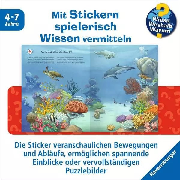 Stickerbuch Tiere Kontinente ab 4 Jahre mit Sachtexten und Stickern
