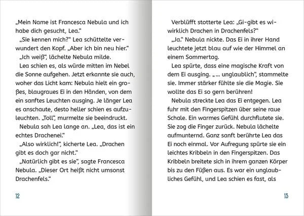 Hardcover Retter der Drachen Erstleser Buch ab 7 Jahren