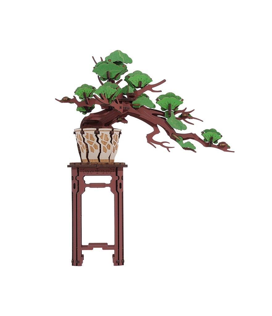 ROKR Evergreen Pine Bonsai TG510 Holzbausatz Bonsai-Kiefer ab 14 Jahren
