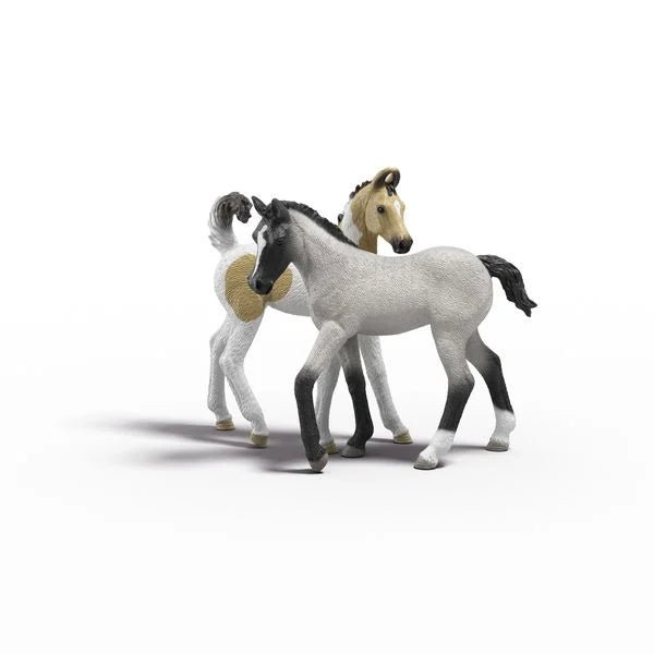 Schleich Spielset mit Sarah, Marwari- und Paint-Fohlen
