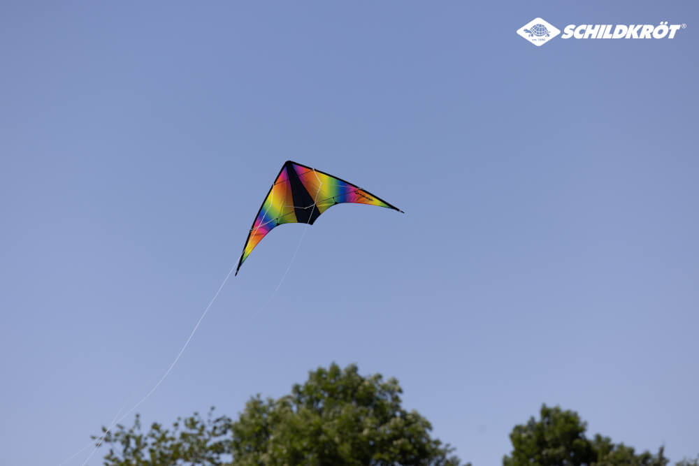 Schildkröt Drachen - Stunt Kite 160 - Schildkröt