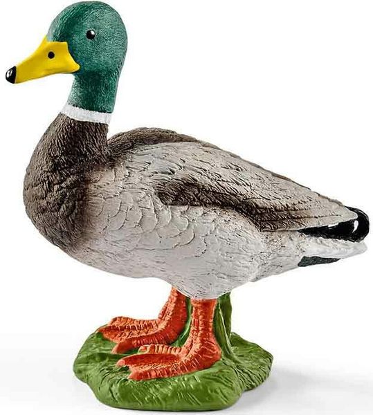 Schleich - Farm World, Erpel, Ente - Schleich