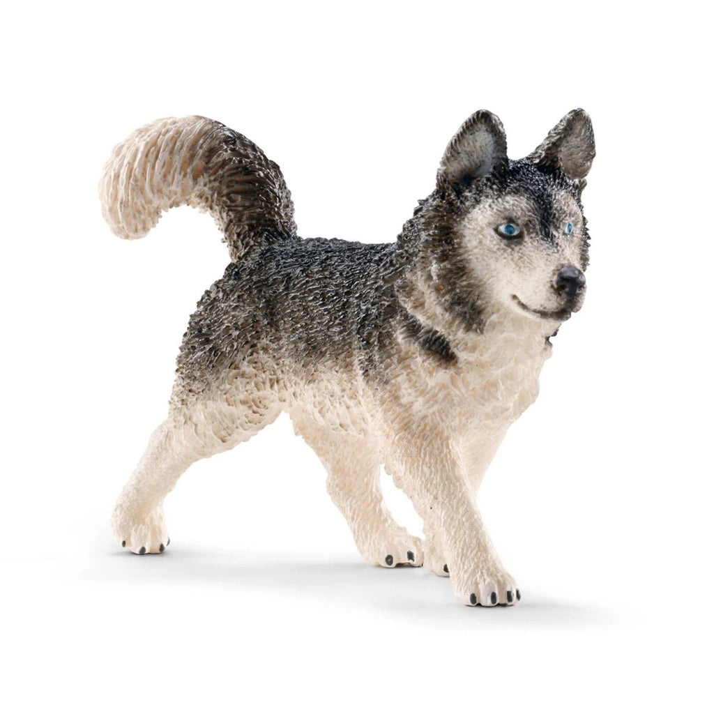 Schleich Farm World - Husky - Schleich