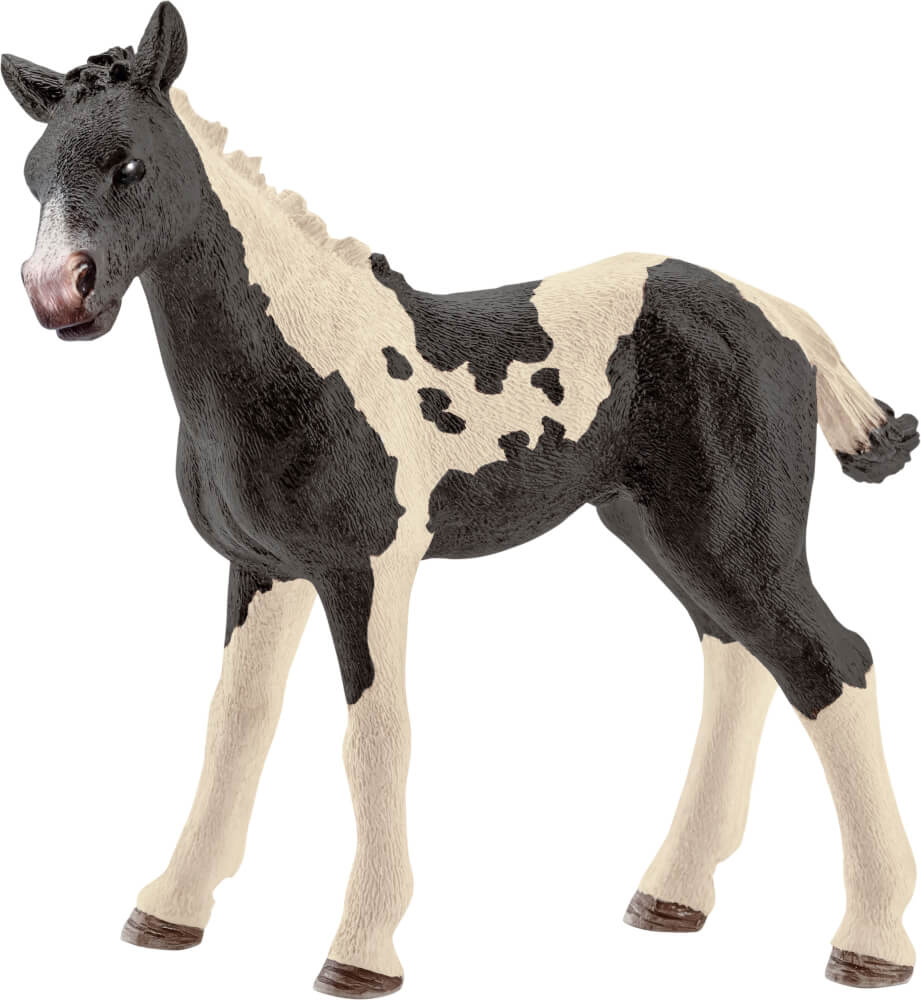 Schleich Farm World - Pinto Fohlen - Schleich