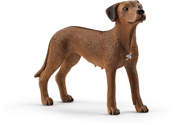 Schleich - Farm World - Rhodesian Ridgeback - Schleich