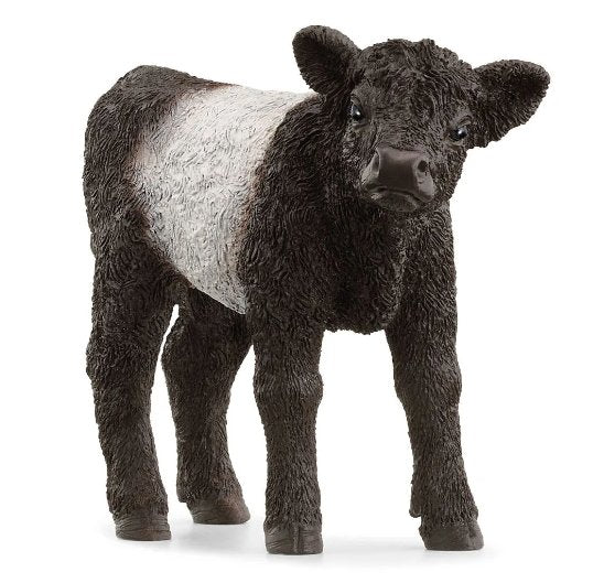 Schleich - Galloway Kalb - Schleich