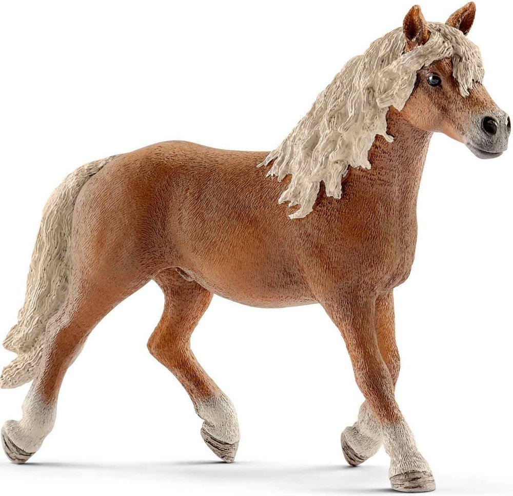 Schleich - Haflinger Hengst - Schleich