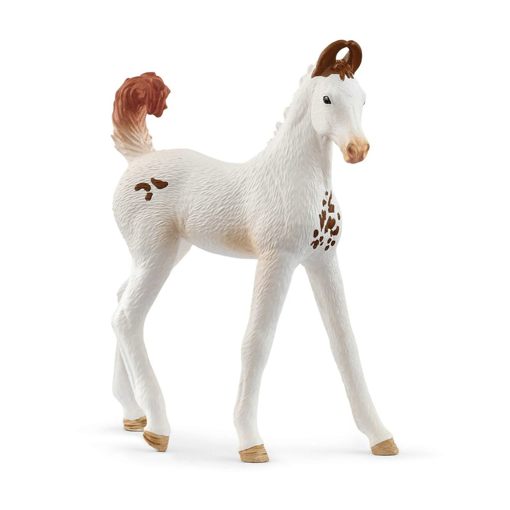 schleich Horse Club Marwari Fohlen - Schleich