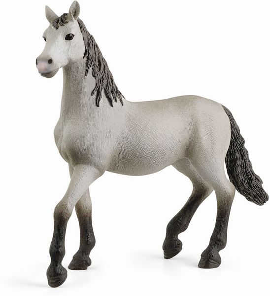 Schleich - Horse Club - Pura Raza Espanola Jungpferd - Schleich