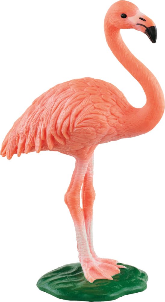 Schleich® Wild Life - Flamingo - Schleich