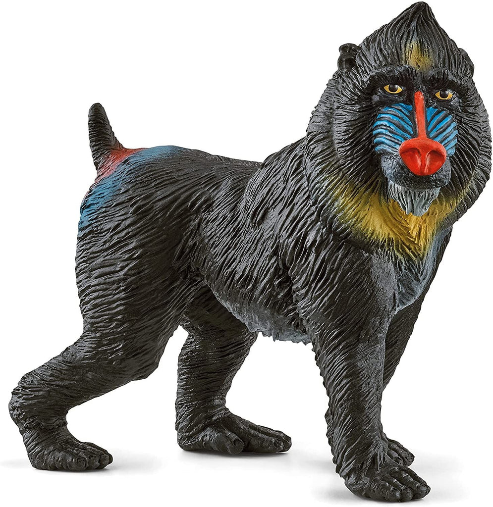 Schleich - Wild Life - Mandrill - Schleich