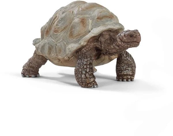 Schleich - Wild Life - Riesenschildkröte - Schleich