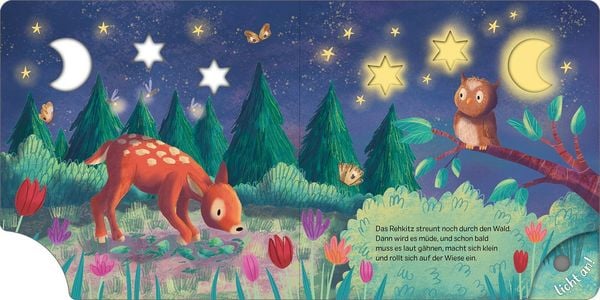 LED-Bilderbuch Gute Nacht Wald mit Eule und Tieren im Wald
