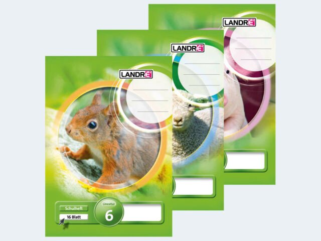 3 Schulhefte Heft DIN A5 Lineatur 6 blanko Weiß weiss 16 Blatt 3 Schulhefte Heft DIN A5 Lineatur 6 blanko Weiß weiss 16 Blatt