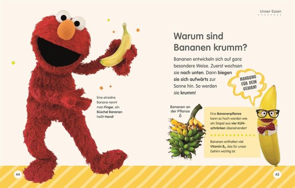 Sesamstraße Elmo fragt warum - DK Verlag