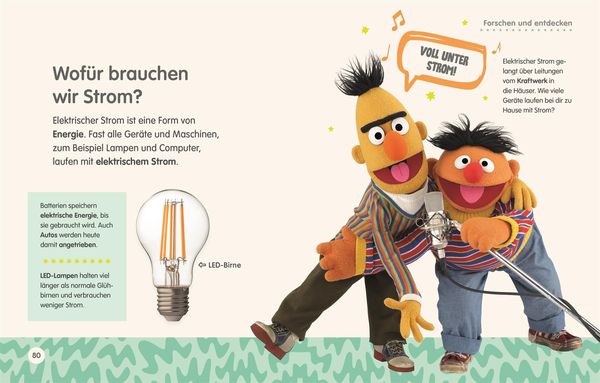 Sesamstraße Elmo fragt warum - DK Verlag