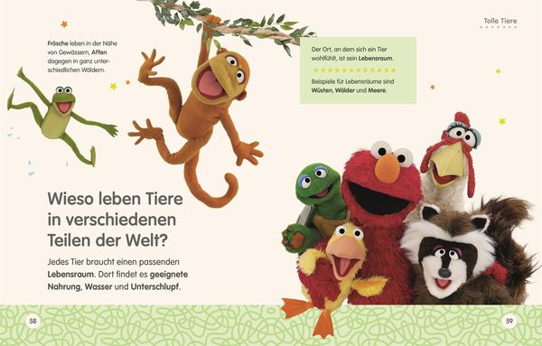 Sesamstraße Elmo fragt warum - DK Verlag