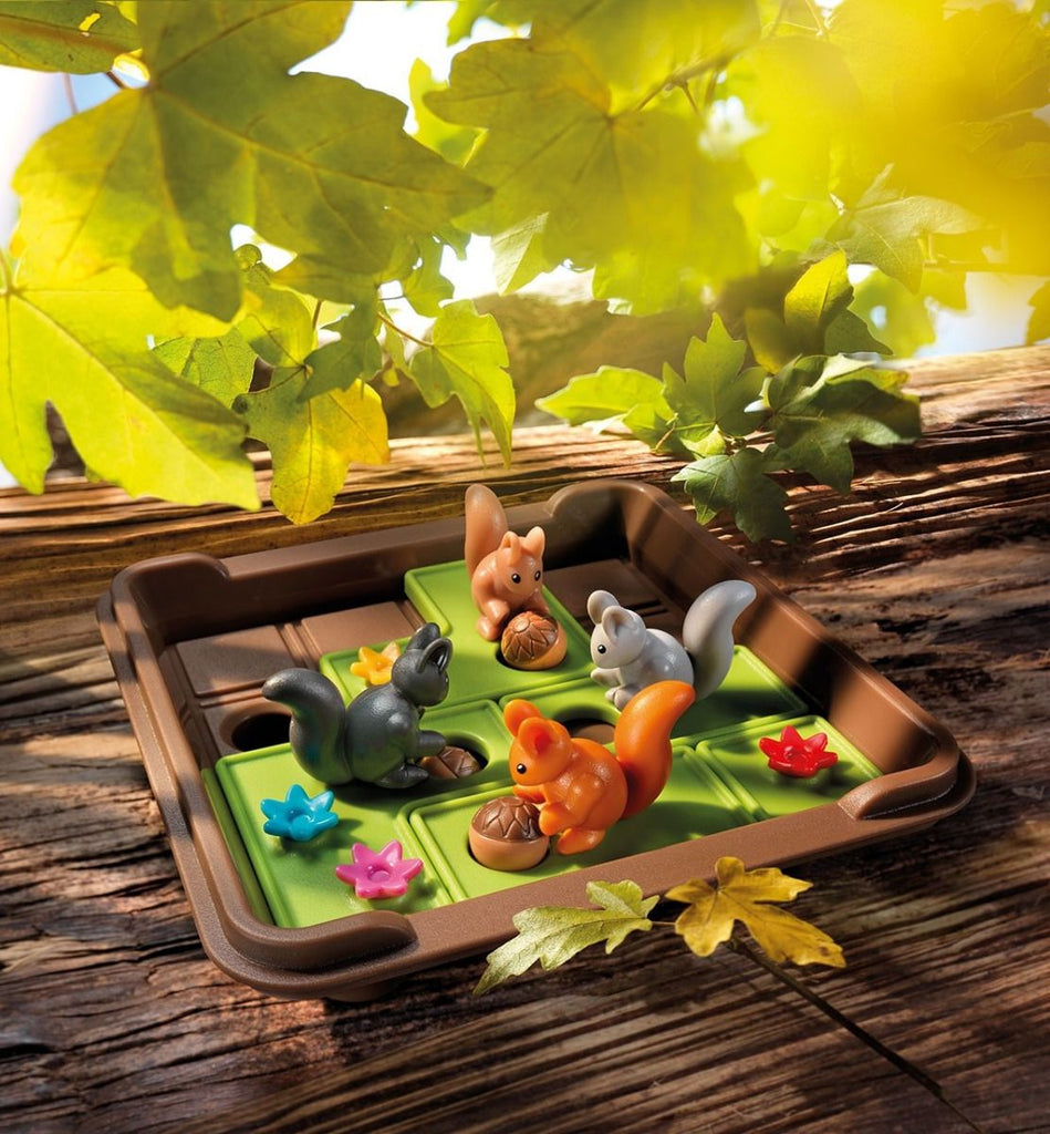 Logikspiel ab 6 Jahren mit Tieren – Eichhörnchen & Nüsse clever platzieren