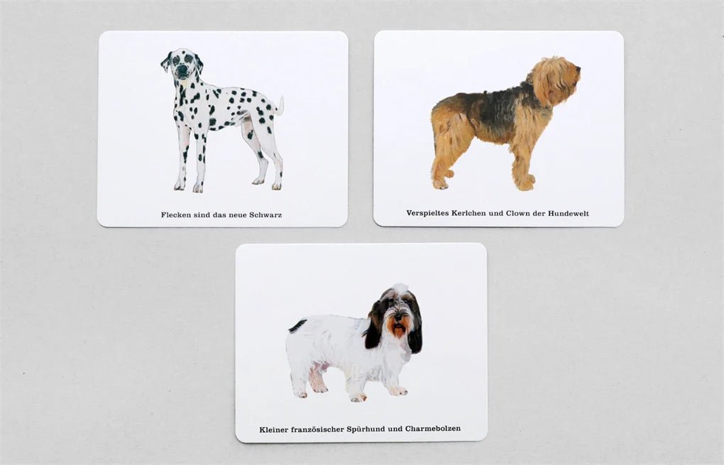 Spiel - Wer kennt alle Hunde? - Laurence King Verlag