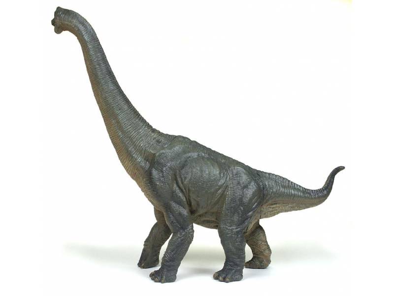 Spielfigur - Brachiosaurus - Papo