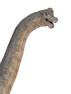 Spielfigur - Brachiosaurus - Papo