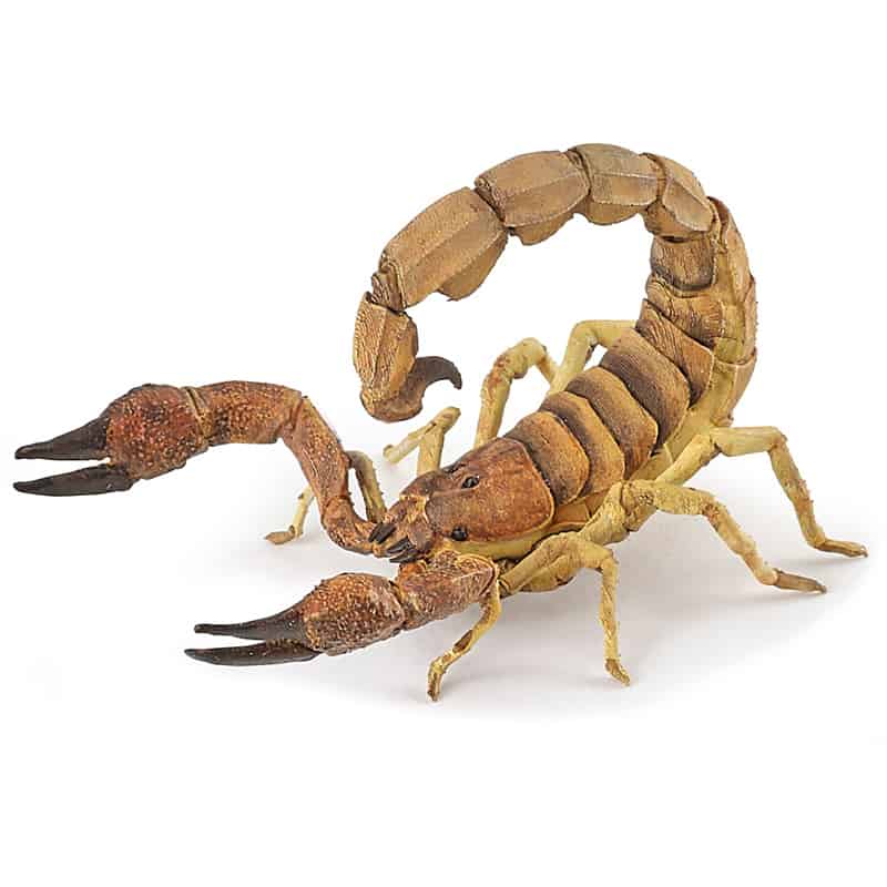 Spiellfigur - Skorpion - Papo