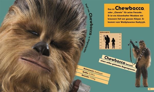 Star Wars Buch mit Maßstabsvergleichen – Fans ab 5 Jahren
