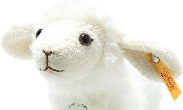 Kuscheltier Lamm Steiff Anni – creme stehend auf weißem Hintergrund
