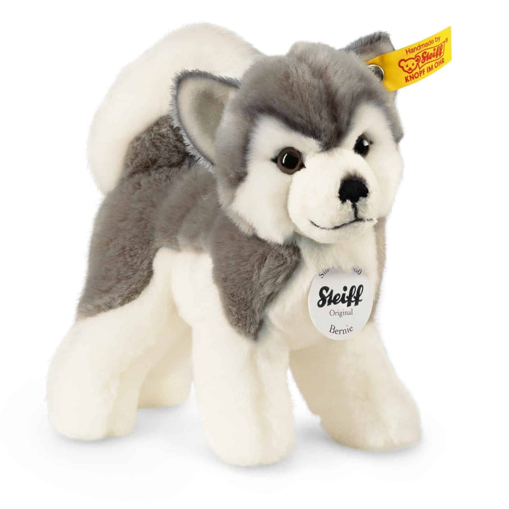 Steiff - Husky Bernie 17cm stehend - Steiff