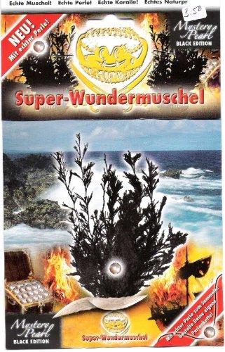 Super Wunder - Muschel mit echter Perle - Aurich