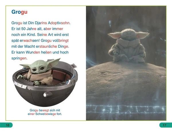Star Wars Kinderbuch Din Djarin Grogu SUPERLESER ab 6
